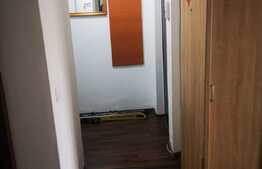 Apartament de 2 camere la casă, 42 mp, grădină, zona Făget-Tractorul