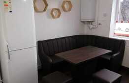 Apartament de 2 camere la casă, 42 mp, grădină, zona Făget-Tractorul