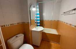 Garsoniera, 30 mp, mobilata modern, zona Piata Stefan cel Mare