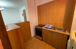 Garsoniera, 30 mp, mobilata modern, zona Piata Stefan cel Mare