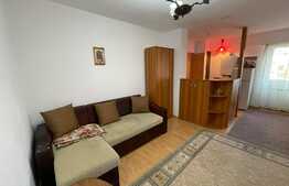 Garsoniera, 30 mp, mobilata modern, zona Piata Stefan cel Mare