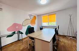 Vila amenajata, 250 mp, curte de 450 mp, zona Gradinii Botanice