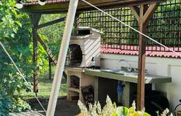 Vila amenajata, 250 mp, curte de 450 mp, zona Gradinii Botanice