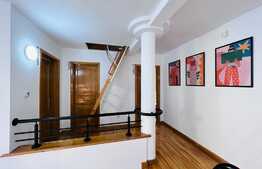 Vila amenajata, 250 mp, curte de 450 mp, zona Gradinii Botanice