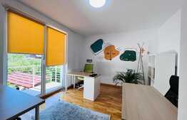 Vila amenajata, 250 mp, curte de 450 mp, zona Gradinii Botanice