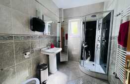 Vila amenajata, 250 mp, curte de 450 mp, zona Gradinii Botanice