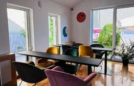 Vila amenajata, 250 mp, curte de 450 mp, zona Gradinii Botanice