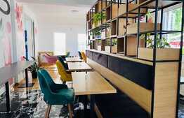 Vila amenajata, 250 mp, curte de 450 mp, zona Gradinii Botanice