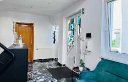 Vila amenajata, 250 mp, curte de 450 mp, zona Gradinii Botanice