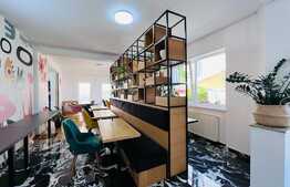 Vila amenajata, 250 mp, curte de 450 mp, zona Gradinii Botanice