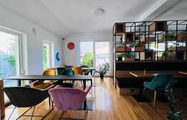 Vila amenajata, 250 mp, curte de 450 mp, zona Gradinii Botanice