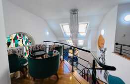 Vila amenajata, 250 mp, curte de 450 mp, zona Gradinii Botanice