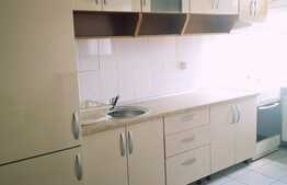 Apartament de 2 camere, 50 mp, etaj intermediar, Bulevardul Victoriei 