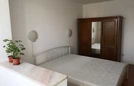 Apartament de 2 camere, 50 mp, etaj intermediar, Bulevardul Victoriei 