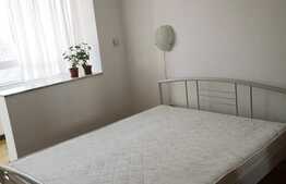 Apartament de 2 camere, 50 mp, etaj intermediar, Bulevardul Victoriei 