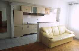 Apartament de 2 camere, 50 mp, etaj intermediar, Bulevardul Victoriei 