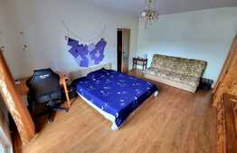 Apartament 1 camera, 42 mp, etaj intermediar, in cartierul Manastur