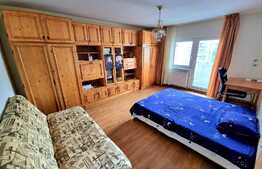 Apartament 1 camera, 42 mp, etaj intermediar, in cartierul Manastur