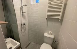 Garsoniera, 30 mp, parcare, parțial mobilat, zona Gruia