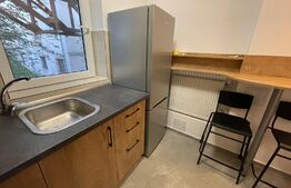 Garsoniera, 30 mp, parcare, parțial mobilat, zona Gruia