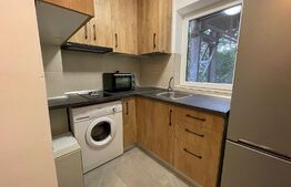 Garsoniera, 30 mp, parcare, parțial mobilat, zona Gruia