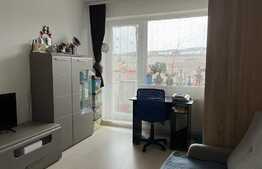 Apartament 2 camere, decomandate, etaj intermediar, Dambul Rotund