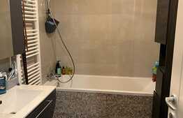 Apartament 2 camere, decomandate, etaj intermediar, Dambul Rotund