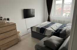 Apartament 2 camere, decomandate, etaj intermediar, Dambul Rotund