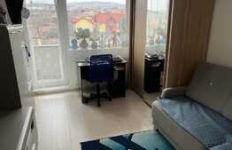 Apartament 2 camere, decomandate, etaj intermediar, Dambul Rotund