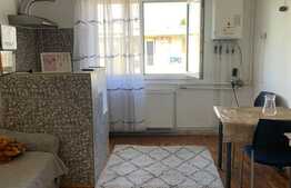 Garsonieră de 21 mp, posibilitate preluare chiriași, Dâmbul Rotund