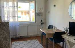 Garsonieră de 21 mp, posibilitate preluare chiriași, Dâmbul Rotund