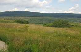 Oportunitate! Teren intravilan, 3750 mp, zona Exterior Nord