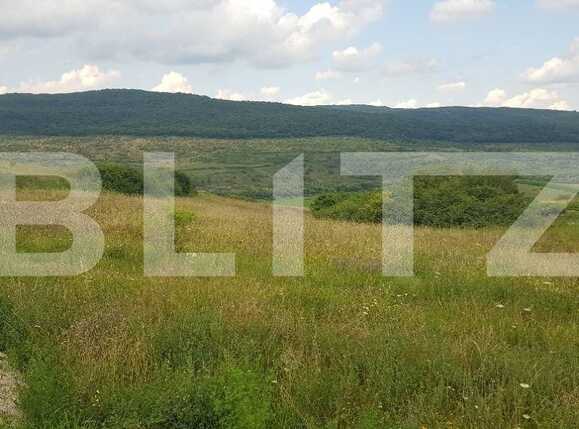 Teren de vânzare Exterior Nord - 93124TV | BLITZ Cluj-Napoca | Poza3