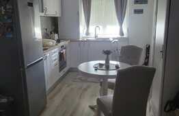 Studio modern, 38 mp, 26 mp gradina, Sanpetru