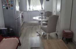 Studio modern, 38 mp, 26 mp gradina, Sanpetru