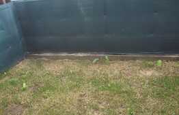 Studio modern, 38 mp, 26 mp gradina, Sanpetru