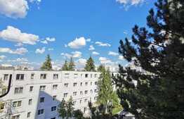 Garsoniera de 30 mp, decomandata, zona strazii Parang 