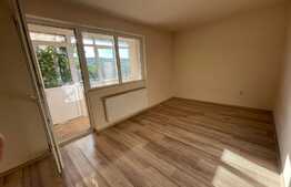 Garsoniera, 45 mp, gradina, balcon, zona Auchan Iris