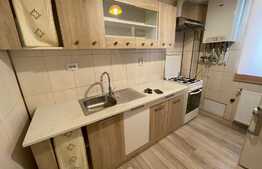 Garsoniera, 45 mp, gradina, balcon, zona Auchan Iris