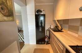 Apartament 2 camere, 50 mp utili, balcon, cartier Buna Ziua