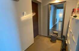 Apartament 2 camere, 50 mp utili, balcon, cartier Buna Ziua