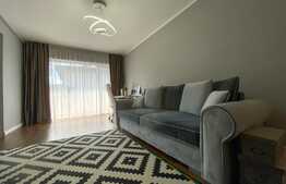 Apartament 2 camere, 50 mp utili, balcon, cartier Buna Ziua