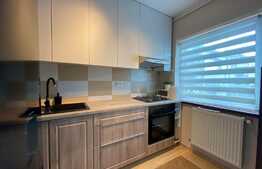 Apartament 2 camere, 50 mp utili, balcon, cartier Buna Ziua