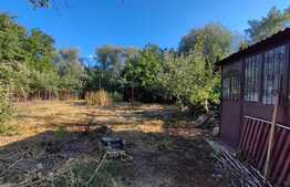 Casa unifamiliala 100 mp, teren 701 mp, zona Dambu Rotund