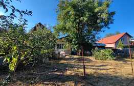 Casa unifamiliala 100 mp, teren 701 mp, zona Dambu Rotund