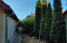 Casa unifamiliala 100 mp, teren 701 mp, zona Dambu Rotund