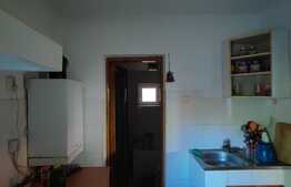 Casa unifamiliala 100 mp, teren 701 mp, zona Dambu Rotund