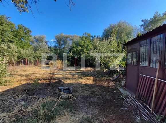 Casa de vânzare 3 camere Dambul Rotund - 93245CV | BLITZ Cluj-Napoca | Poza5