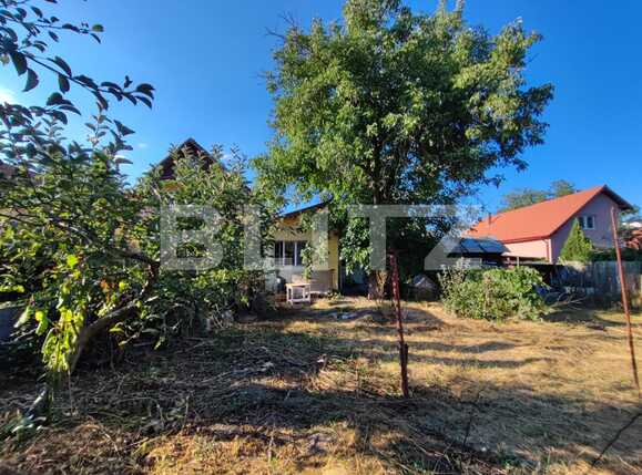 Casa de vânzare 3 camere Dambul Rotund - 93245CV | BLITZ Cluj-Napoca | Poza6