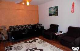 1 camera, 42 mp, imobil nou, mobilat modern, garaj, zona strazii Dambovitei